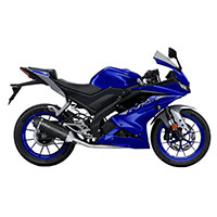 2019-2024 Yamaha R125 Fairings