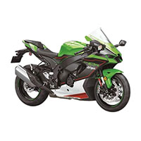 2021-2025 Kawasaki ZX10R Fairings