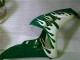2006-2007 White Green Flame Honda CBR1000RR Motorcycle Fairings