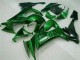 2008-2010 Glossy Black Green Flame Kawasaki ZX10R Motorcycle Fairings