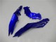 2013-2024 Blue Black White Flame Kawasaki Ninja 300 EX300R Motorcycle Fairings