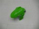2013-2024 White Green Black Kawasaki Ninja 300 EX300R Motorcycle Fairings