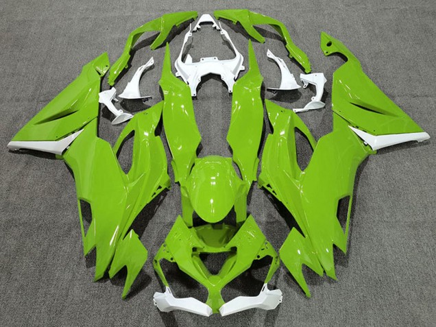 2019-2023 White Green Kawasaki ZX6R Motorcycle Fairings