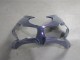 2019-2022 Chameleon Grey Dazz Pearl Purple Kawasaki ZX6R Motorcycle Fairings