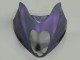 1996-2007 Chameleon Grey Dazz Pearl Purple Suzuki GSXR 1300 Hayabusa Motorcycle Fairings