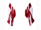 2022 White Red Blue Honda CBR400R Motorcycle Fairing