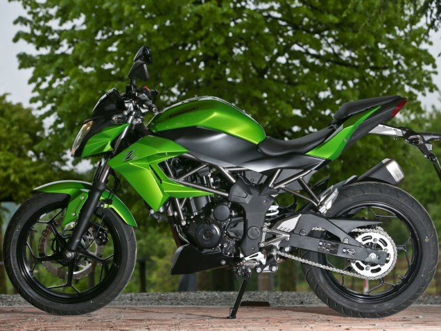 2015-2016 Green Matte Black Kawasaki Z250/Z300 Motorcycle Fairings