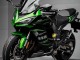 2020-2025 Black Green Ninja Kawasaki Z1000SX Motorcycle Fairing