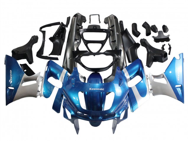 1998-2003 Blue Silver Black Kawasaki ZZR600 Motorcycle Fairings
