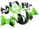 1993-2007 Green Glossy Black Flame Kawasaki ZZR400 Motorcycle Fairings