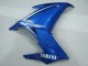 2009-2015 Blue White Yamaha FZ6R Motorcycle Fairings