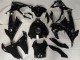 2023-2024 Glossy Black BMW S1000RR Motorcycle Fairing