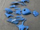 2023-2024 Glossy Blue BMW S1000RR Motorcycle Fairings