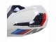 2023-2024 White Blue Red Matte Black BMW S1000RR Motorcycle Fairings