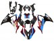 2019-2022 Black Red Blue BMW S1000RR Motorcycle Fairings