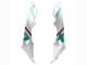 2017-2018 White Green BMW S1000RR Motorcycle Fairings