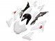 2014-2016 White BMW S1000R Motorcycle Fairings