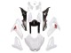 2014-2016 White BMW S1000R Motorcycle Fairings