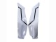 2021-2025 White Black Kawasaki ZX10R Motorcycle Fairings