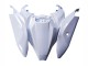 2021-2025 White Black Kawasaki ZX10R Motorcycle Fairings