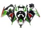 2013-2024 Green White Red Black Elf Kawasaki EX300 Motorcycle Fairings