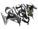 2013-2024 Glossy Black Matte Black Green Kawasaki EX300 Motorcycle Fairings