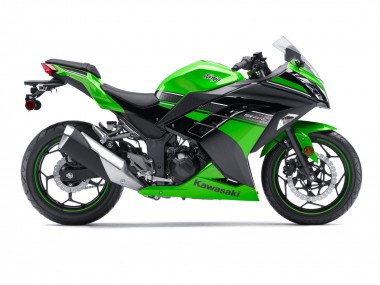 2013-2024 Green Black Kawasaki EX300 Motorcycle Fairing