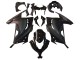 2013-2024 Glossy Black Matte Black Kawasaki EX300 Motorcycle Fairing