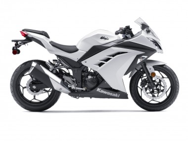 2013-2024 White Black Kawasaki EX300 Motorcycle Fairings