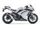 2013-2024 White Black Kawasaki EX300 Motorcycle Fairings