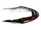 2004-2007 White Glossy Black Red Repsol Honda CBR600 F4i Motorcycle Fairings