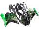 1996-2007 Glossy Black Green Flame Honda CBR1100XX Blackbird Motorcycle Fairing