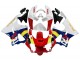 1998-1999 White Red Yellow Blue Honda CBR900RR 919 Motorcycle Fairings