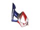 2000-2001 Silver Red Blue Honda CBR900RR 929 Motorcycle Fairings