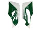 2015-2020 White Red Green Matte Black Ducati 1299 Motorcycle Fairings