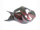 2006-2007 Glossy Black Red Flame Honda CBR1000RR Motorcycle Fairing