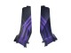 2005-2006 Matte Black Purple Honda CBR600RR Motorcycle Fairings