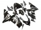 2004-2005 Glossy Black Ninja Kawasaki ZX10R Motorcycle Fairings