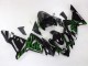 2004-2005 Black with Green Flame Ninja Kawasaki ZX10R Motorcycle Fairings