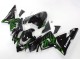 2004-2005 Black with Green Flame Ninja Kawasaki ZX10R Motorcycle Fairings