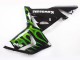 2004-2005 Black with Green Flame Ninja Kawasaki ZX10R Motorcycle Fairings