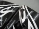 2004-2005 Black White Kawasaki ZX10R Motorcycle Fairings