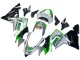 2004-2005 Green Silver Black 69 Kawasaki ZX10R Motorcycle Fairings