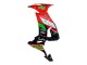2008-2010 Red Green Black Kawasaki ZX10R Motorcycle Fairings