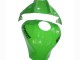 2021-2025 Green Glossy Black Kawasaki ZX10R Motorcycle Fairings