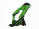 2021-2025 Green Glossy Black Kawasaki ZX10R Motorcycle Fairings