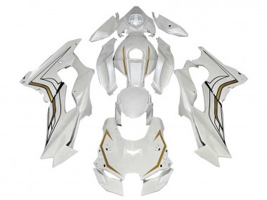 2021-2026 White Gold Kawasaki ZX10R Motorcycle Fairings