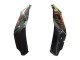 2021-2025 Green Black Red Kawasaki ZX10R Motorcycle Fairings