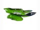 1998-1999 Green White Blue Silver Glossy Black Kawasaki ZX6R Motorcycle Fairings