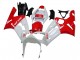 2003-2004 White Red Kawasaki ZX6R Motorcycle Fairings